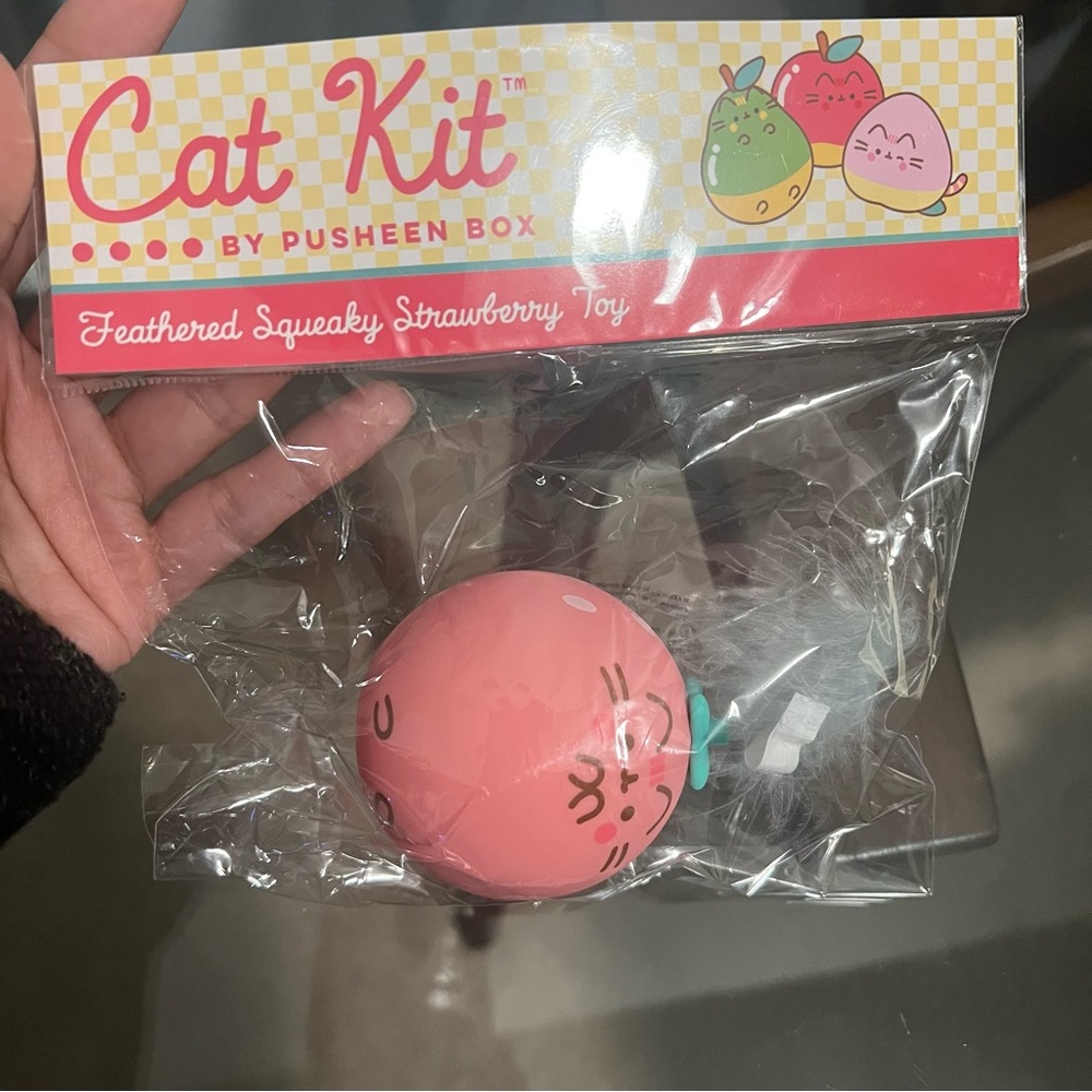 NWT Pusheen Fruit Cat Toy